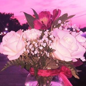 Meet your Posher, Lacey